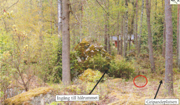 Gripandet
