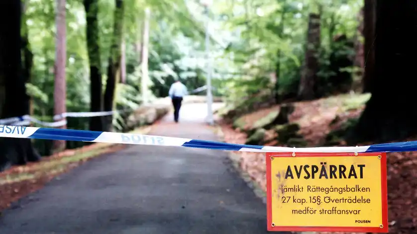 Satanistmordet i Keilers park huvudbild