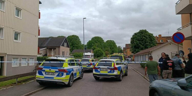 Mordet på Elin Berg i Falköping huvudbild