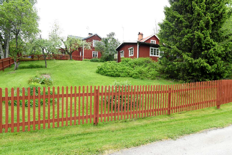Mordet på Tore Hedman huvudbild